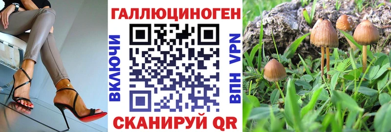 Псилоцибиновые грибы Magic Shrooms Куса